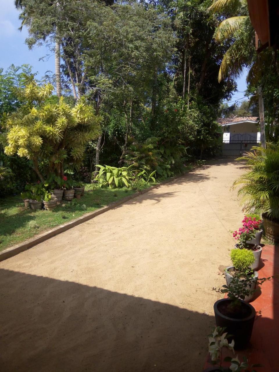 בנטוטה Shenya Villa מראה חיצוני תמונה